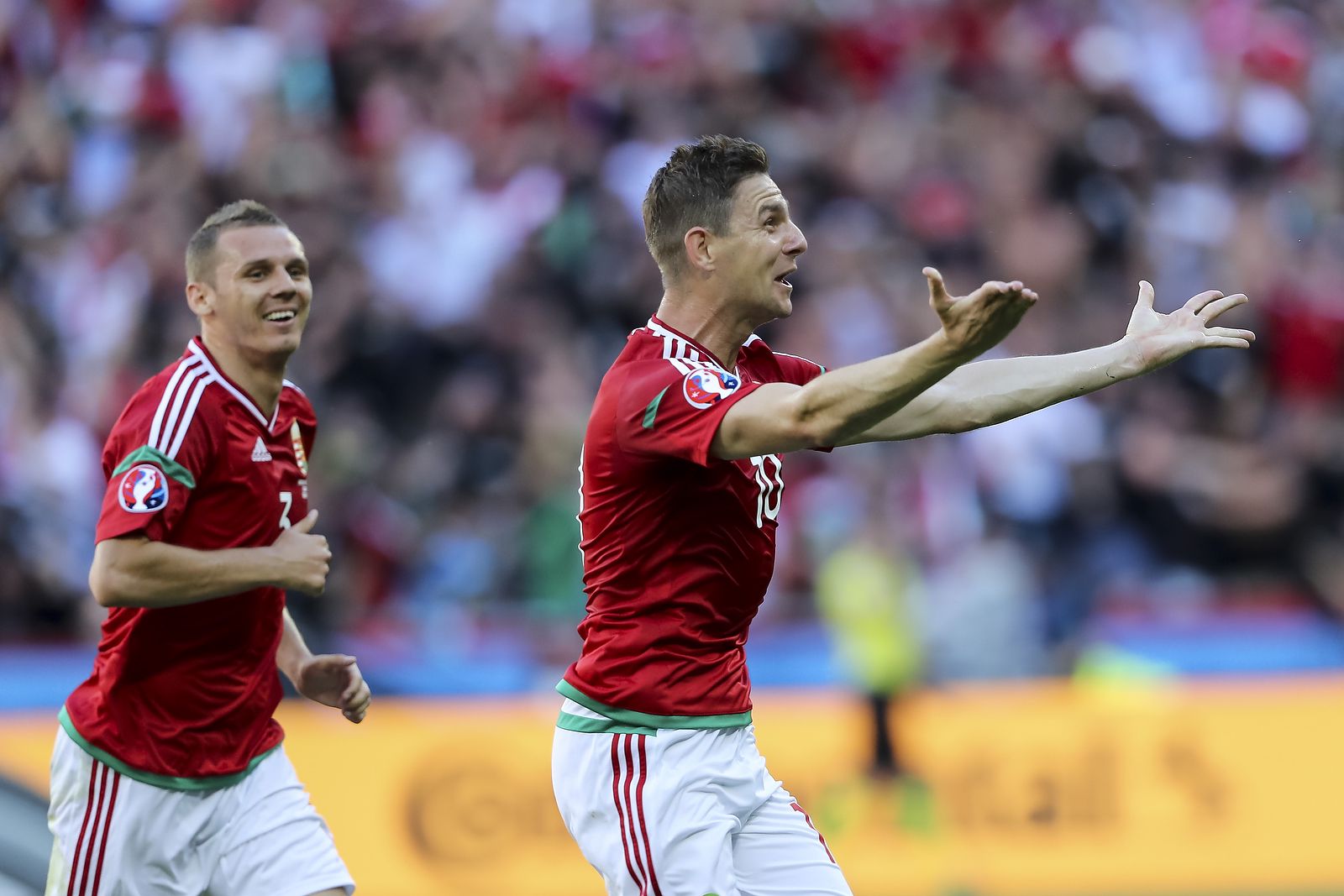 Zoltan Gera celebrates after scoring Hungary’s first goal
