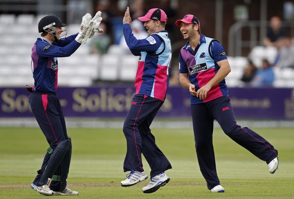 Middlesex celebrate a wicket