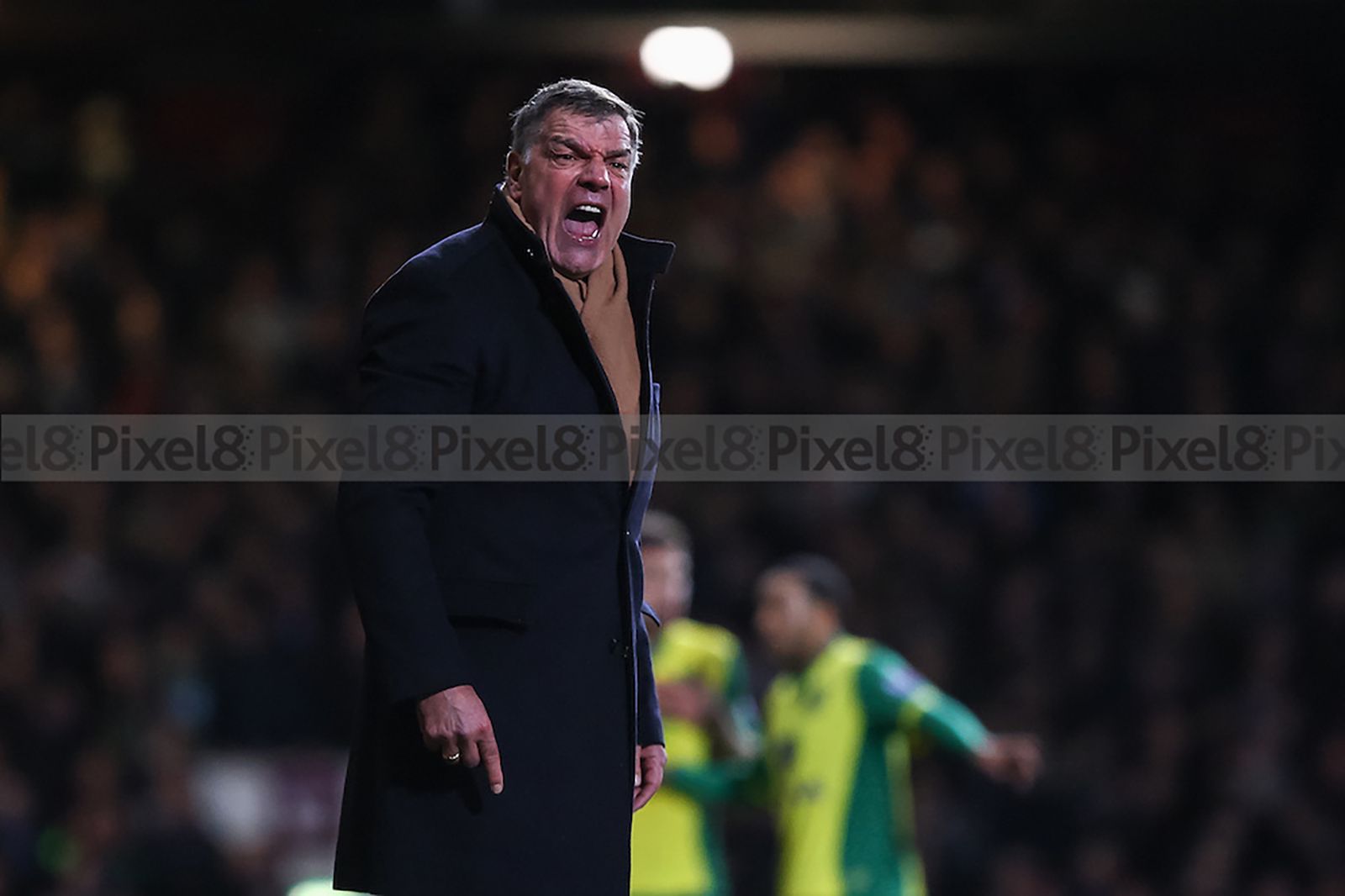 Sam Allardyce voices his frustration at the assistant referee